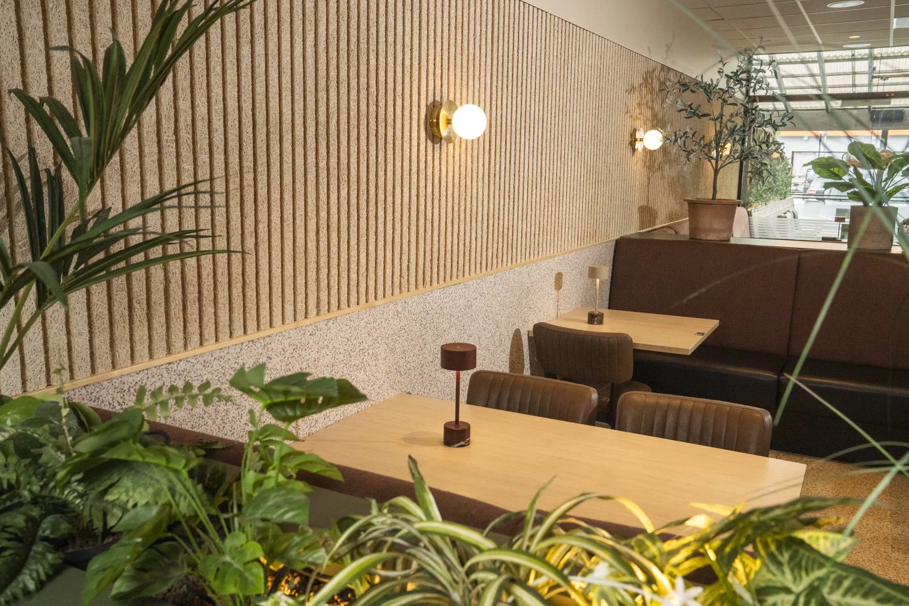 The bright, modern area with plants.