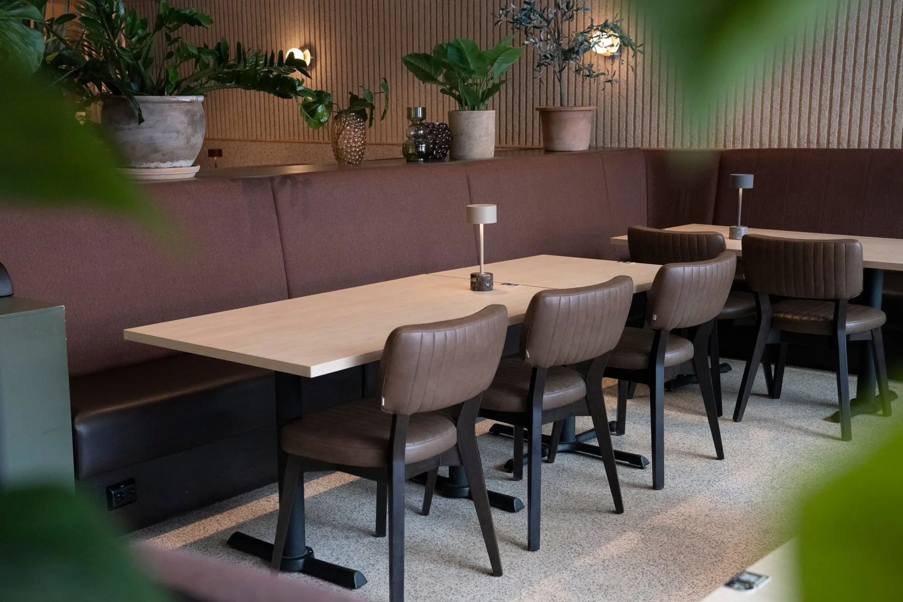 A long table with chairs and a booth, plants behind.